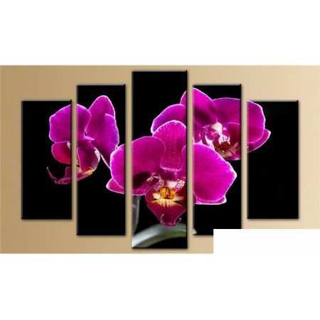 

Arthata 5m-068 130x80, 5m-068 130x80